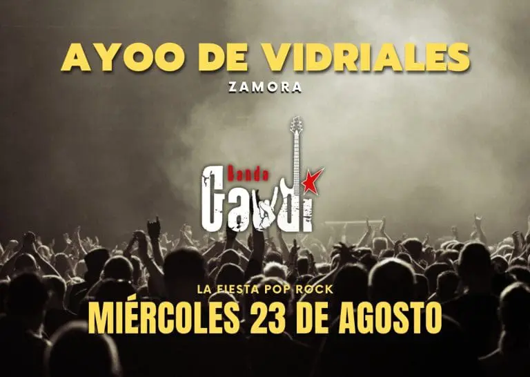 FIESTAS AYOO DE VIDRIALES 2023